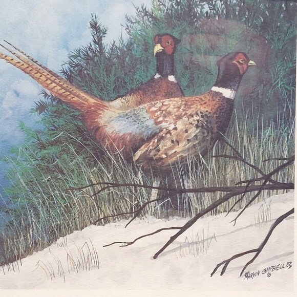 Vintage Marvin Campbell 82 Pheasant Print In Gold Metal Frame - Picture 2 of 4